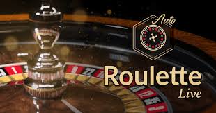 Bitcoin Roulette Navigating the Excitement of Cryptocurrency Gambling