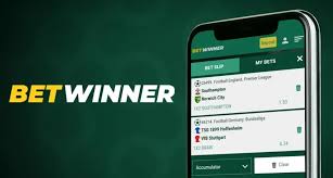 Exploring BetWinner A Comprehensive Guide to the Bookmaker Exploring BetWinner A Comprehensive Guide to the Bookmaker
