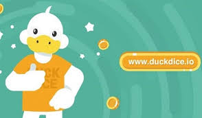 Shiba Inu Betting A New Era of Cryptocurrency Wagering