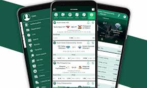 Step-by-Step Guide to the BetWinner Registration Process