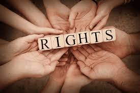 The Critical Role of Human Rights Lawyers in Society The Critical Role of Human Rights Lawyers in Society