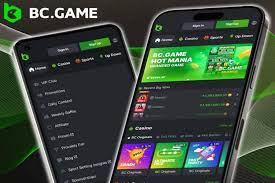 Understanding BC Game India Privacy Policy A Comprehensive Guide
